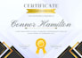 do modern award diploma certificate